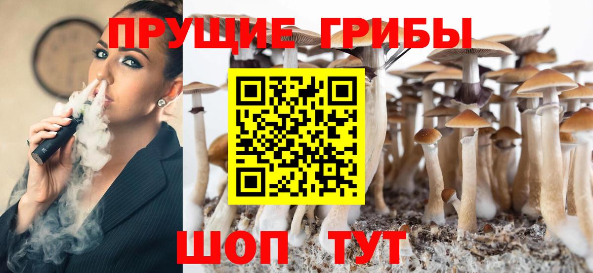 Псилоцибиновые грибы ЛСД Курганинск