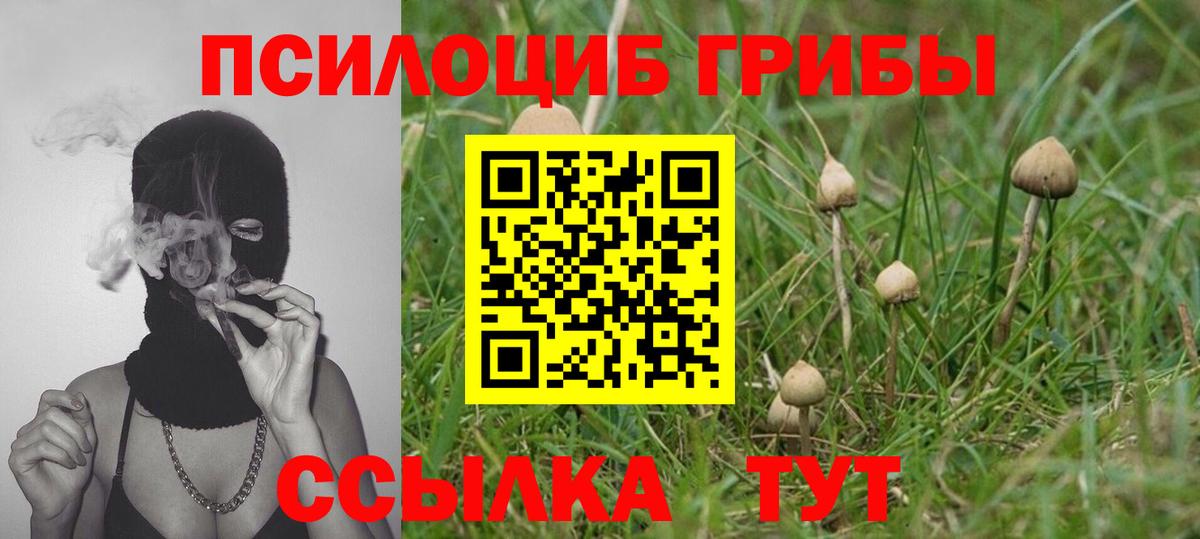 Курганинск  Псилоцибиновые грибы ЛСД  наркошоп  Вход с VPN 